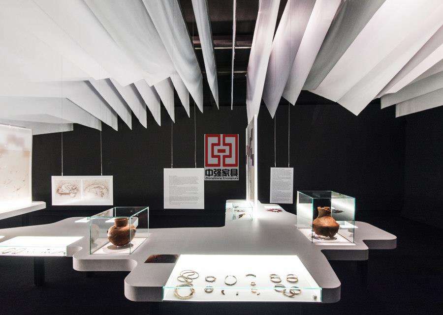優(yōu)質(zhì)博物館展柜定制服務,滿足多樣化需求-中強展柜